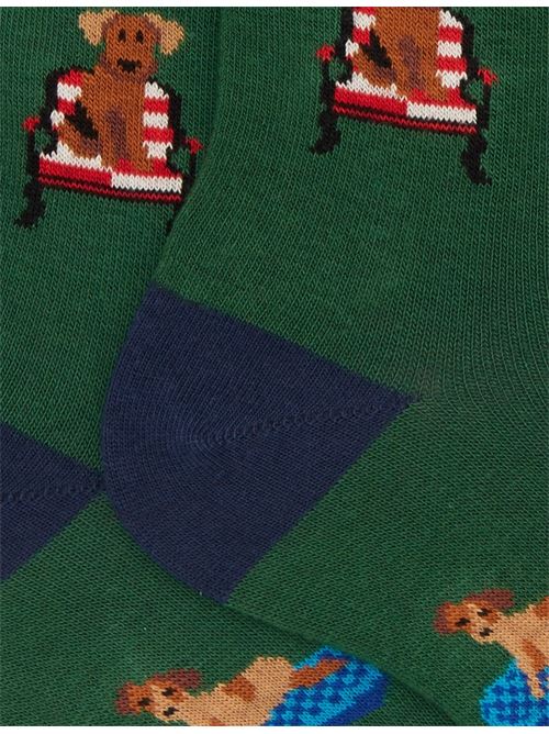 AP51628614777 FANTASIA gallo | AP51628614777 FANTASIA